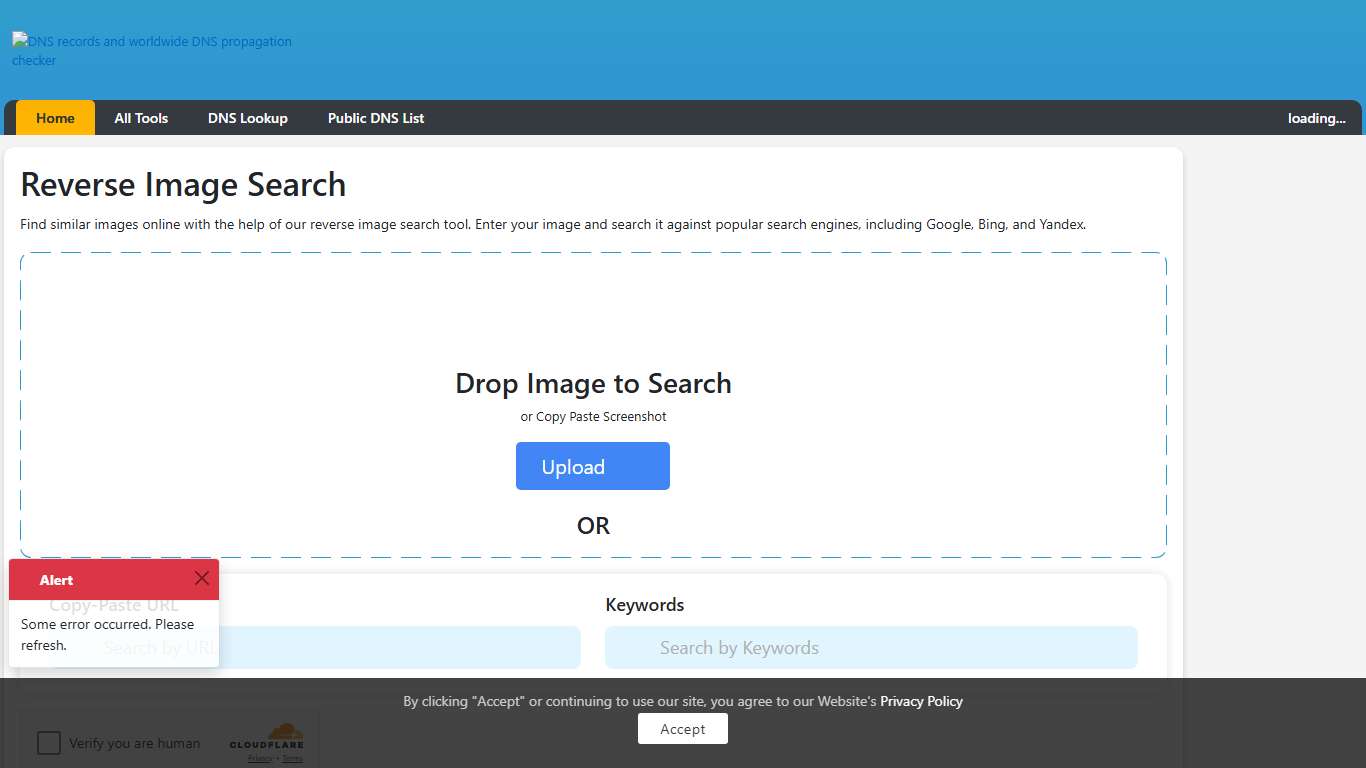 Reverse Image Search Online – Find Similar Images on the Web
